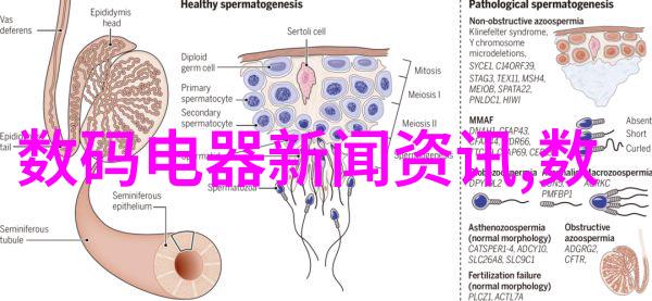 家具搭配大师class客厅装修样板图分析