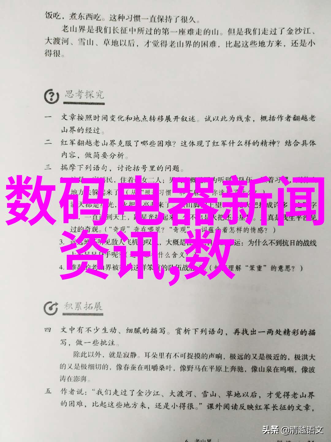 飞燕惊龙冒险故事飞越云端与龙的奇遇