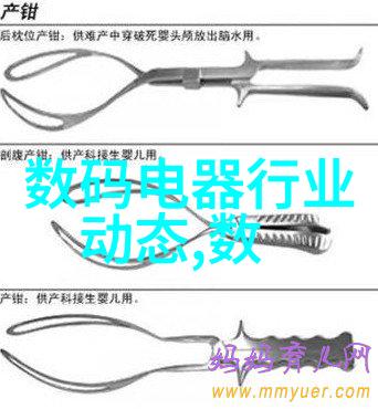 微波炉饭盒在现代便携式餐饮中的应用与创新研究