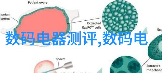 短视频拍摄从零到英雄顺便教会你如何不让观众睡着