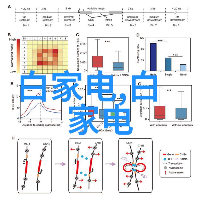 防疫消杀报价表一平米多少钱-精确清算探究专业消毒服务的成本