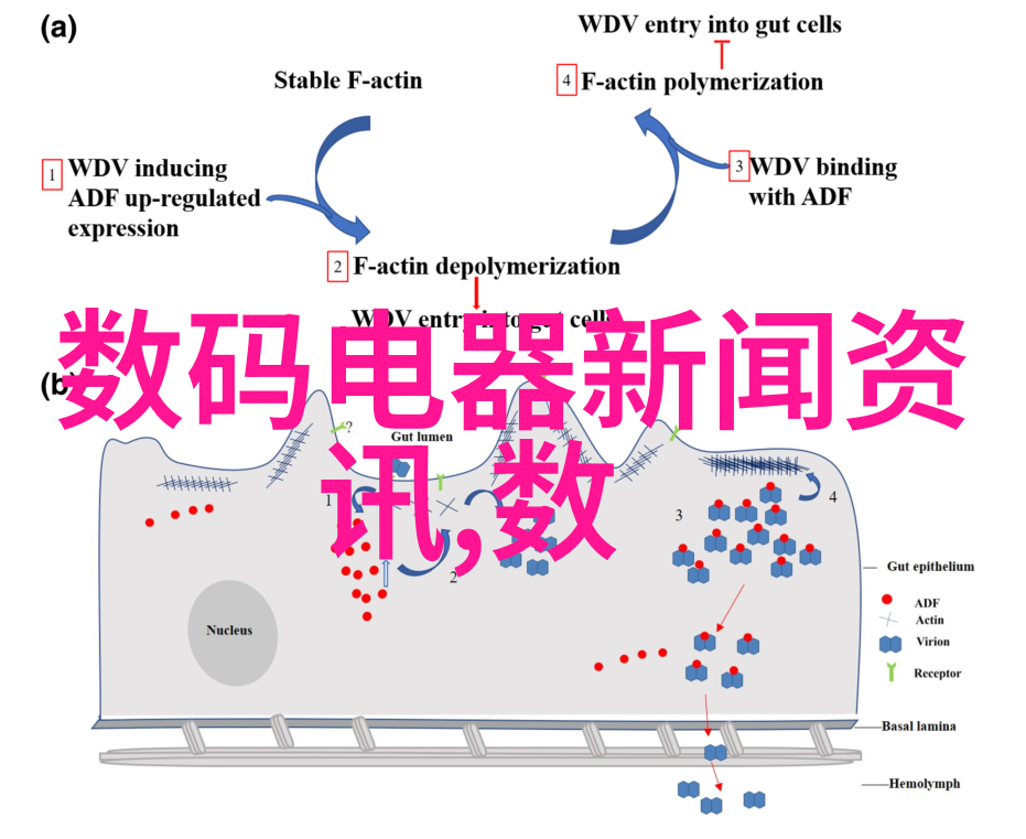 在水电安装领域个体户面临哪些挑战