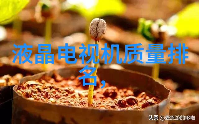 黑玫瑰花语探究解读其在文学与文化中的象征意义及其演变