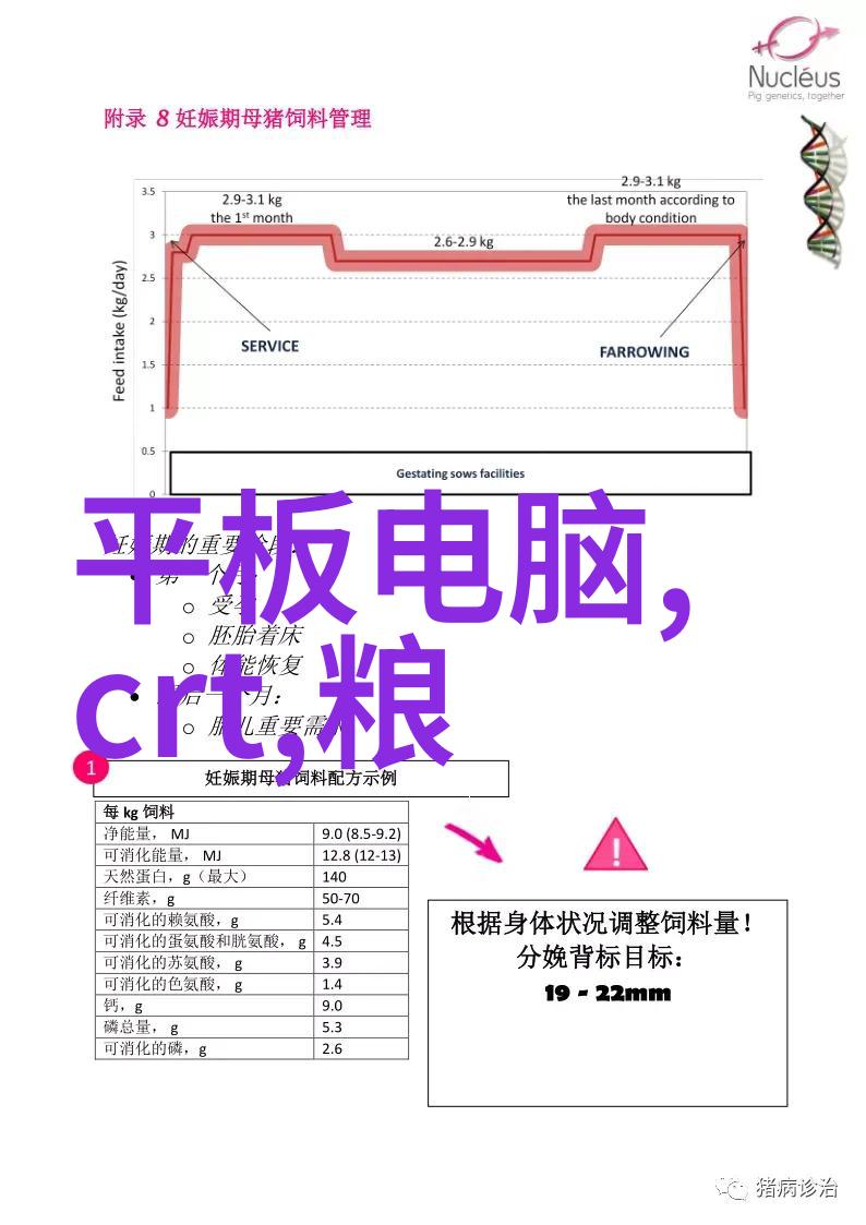 高攀式婚姻挑战超越社会阶层的爱情故事