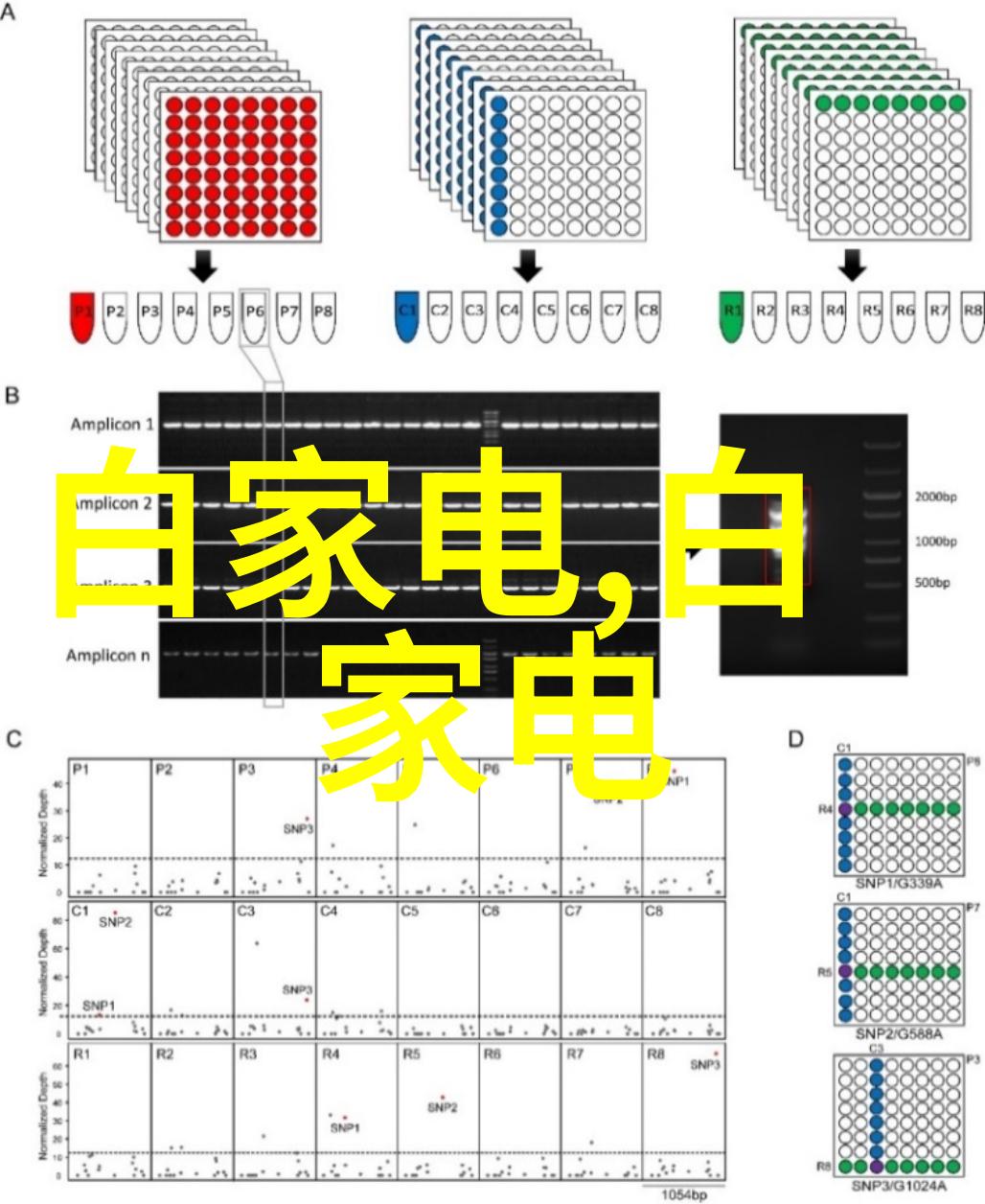 欧式人像摄影艺术古典浪漫光影塑造