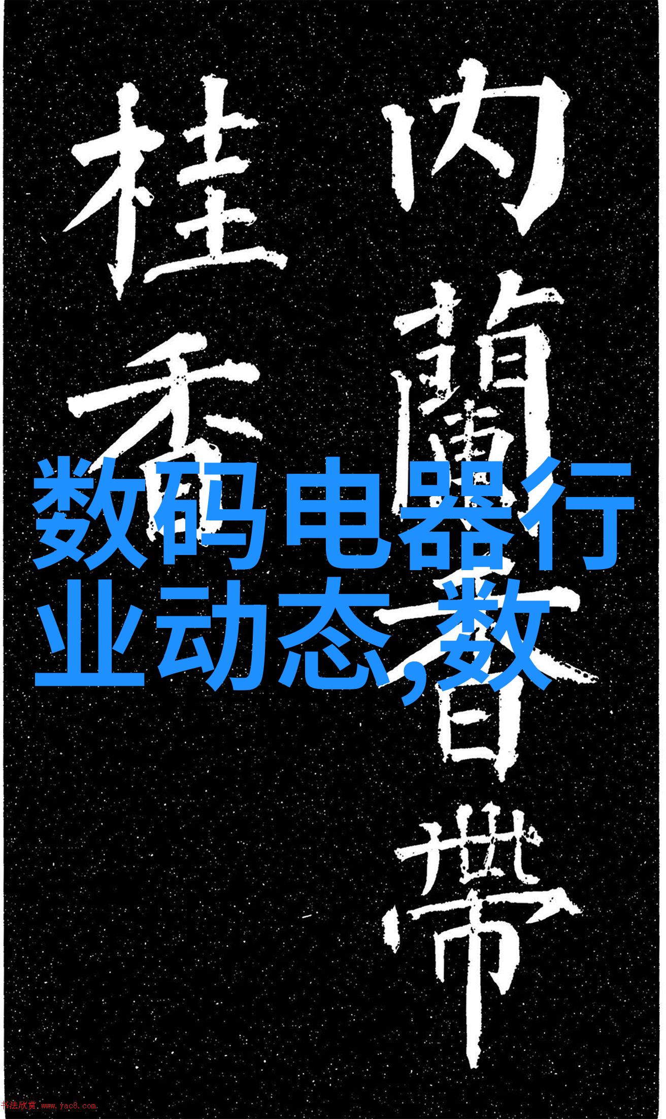 在纽约摄影学院的教材中是否存在一堂课专门探讨街头摄影如何捕捉城市魅力