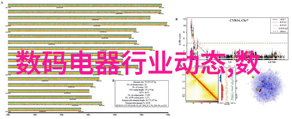 镜头下的幻影光与暗的诗意对话