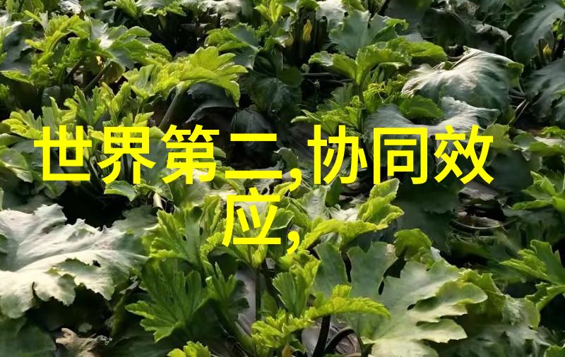 开启高效实验新篇章仪器信息网会员特惠不容错过