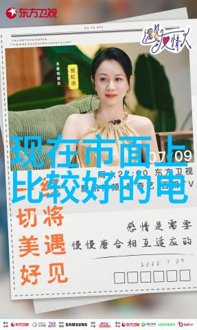 古典装修效果图全集古典家居美学大师作品集