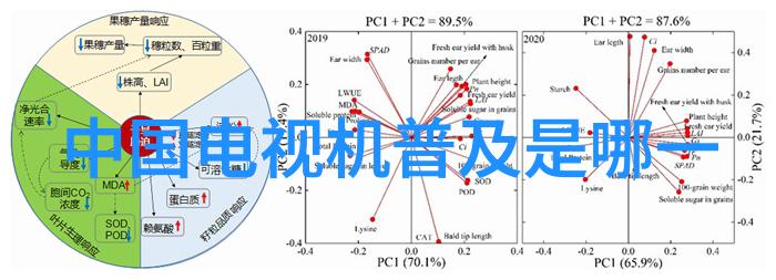 探秘三温区管式炉理解其工作原理的奥秘