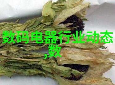 准确度提升揭秘仪器检定与校准的差异与重要性