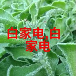 水源之谜揭开水利水电技术的神秘面纱