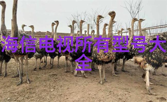 各类废旧设备回收我是怎么把那些烂电器变成了现金