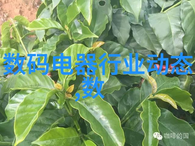 送给老师的花温暖校园的美丽礼物