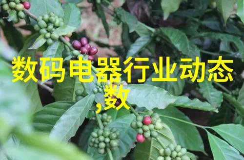 消毒杀菌的无形守护者氯乙醇在日常生活中的应用与安全考量