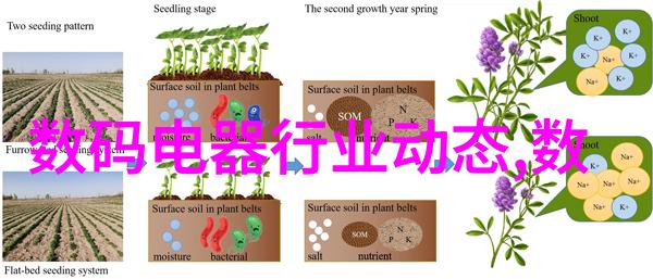 探索创意光影人像摄影的艺术殿堂