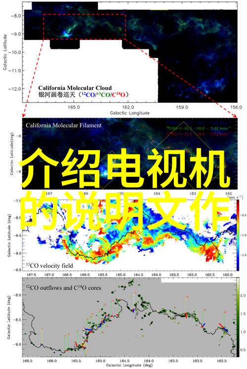 从零到英雄10大猫咪成长故事