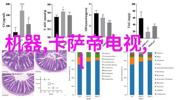 人像摄影技巧精髓掌握人像摄影的艺术与技术