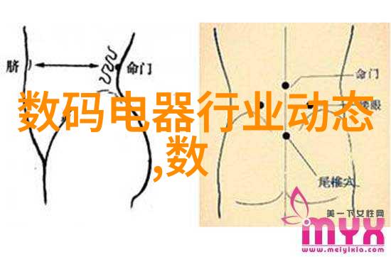 暗网电商揭秘中国小家电批发网背后的神秘交易