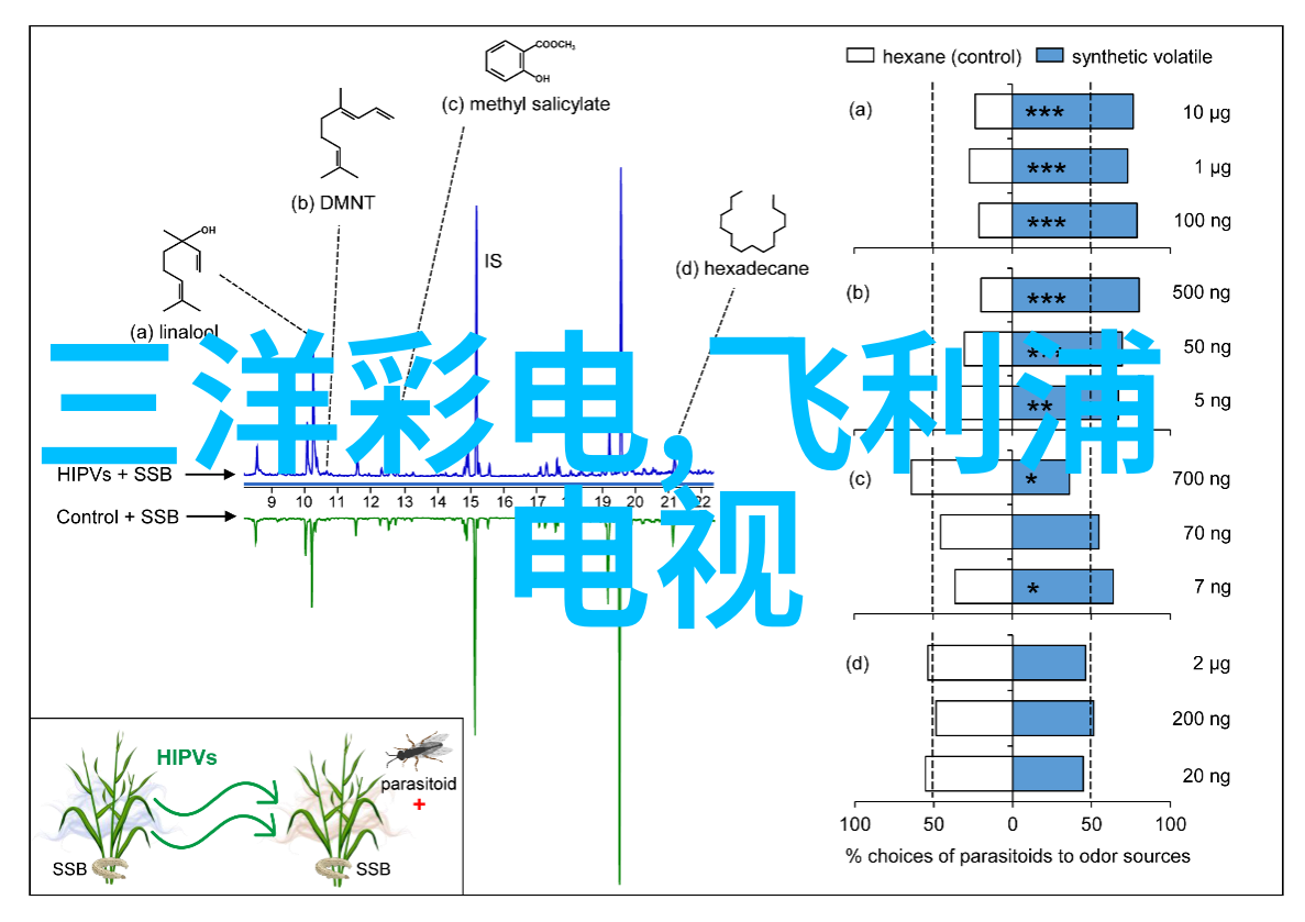 鸭类幼崽的成长机制研究从雏形到独立飞翔的生物学探究