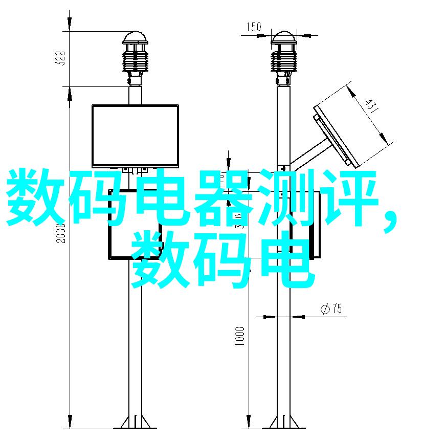 康乃馨的绚丽盛开捕捉花朵美的瞬间