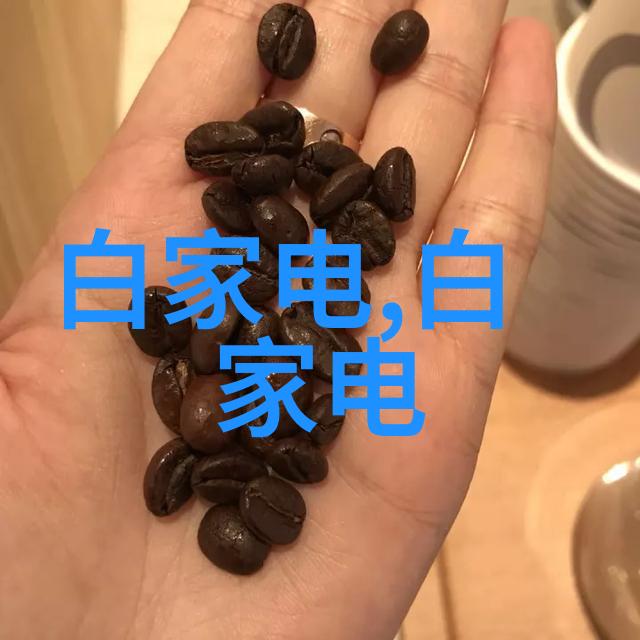 水质电解器背后的谎言揭秘其工作原理与效能