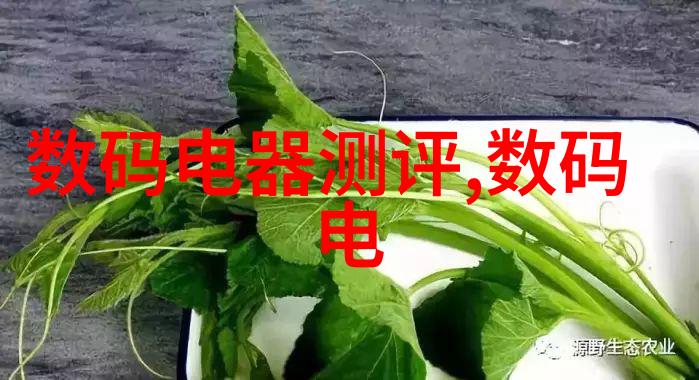 主题我是妲己的两只大兔子抓住命运的旋律文章标题捉住风暴中的梦想