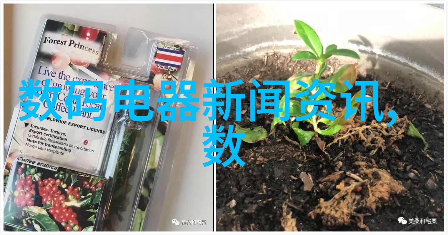 装修设计方案效果图我的梦想小窝从平板到实景的装饰奇迹