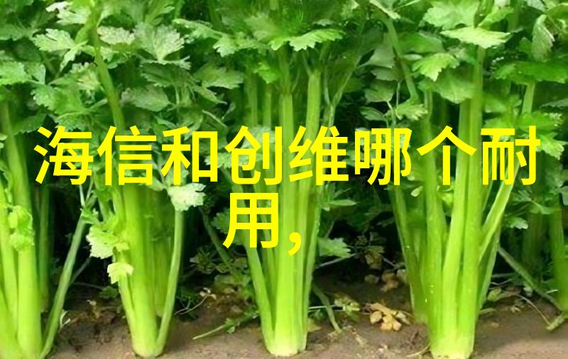 我来解释微波炉原理它是怎么让食物快速变热的