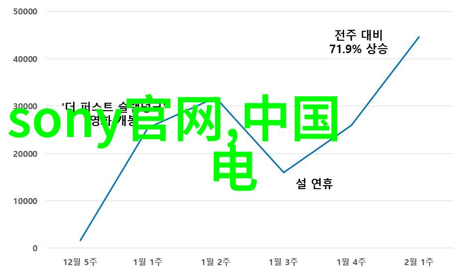 满天星的花语星辰下的花园