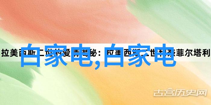 KEF型电磁流量计在自然食品检测中的应用插入式仪器分析解决方案