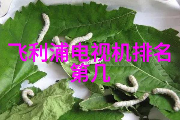 又大又白两座山峰咱们去登个顶吧