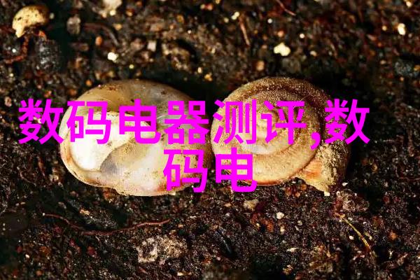 商用密码应用安全测评机构研究与实践基于最新加密技术的挑战与对策探究