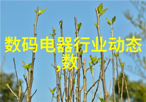 垃圾焚烧炉生产厂家清洁能源的转型先锋