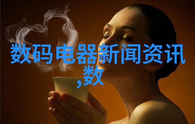 智慧翅膀王凤与罗格朗对话30年老经验激发新活力