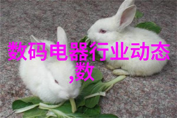 在设计厨房布局时如何合理安排供暖通风系统与侧吸油烟机位置