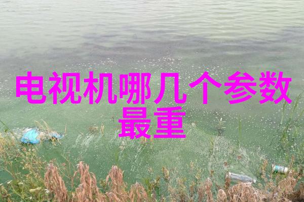 重型机械租赁服务提升工程效率与成本控制能力