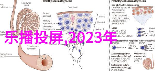 厨卫名称大全 - 家居装修中的创意命名探索