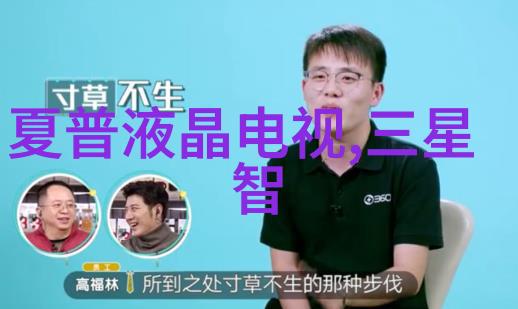 大客厅设计效果图大全看看我是怎么打造完美家中的那一刻