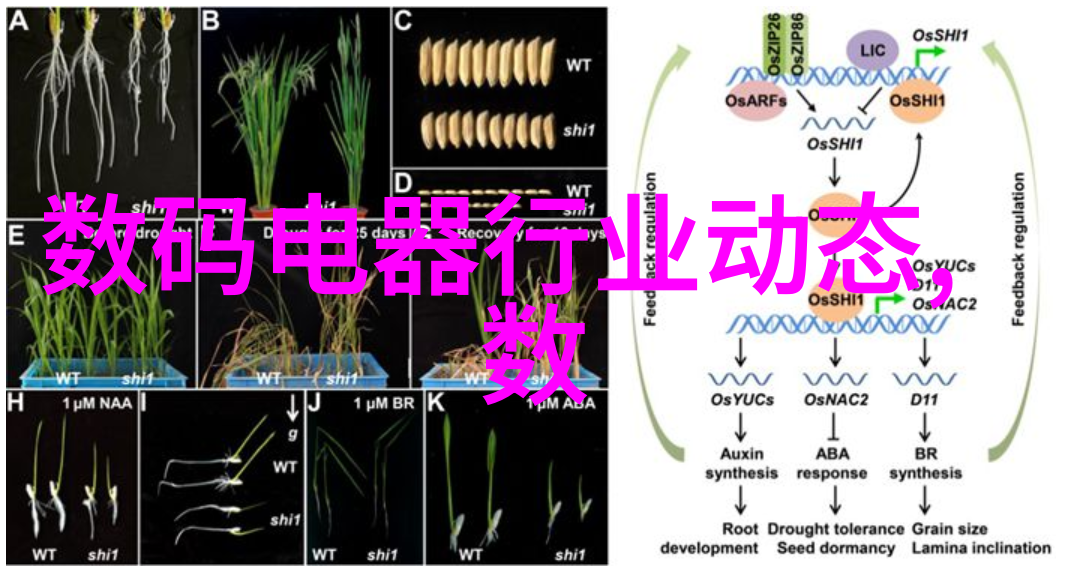 一体化机柜对企业IT基础设施升级带来的影响分析