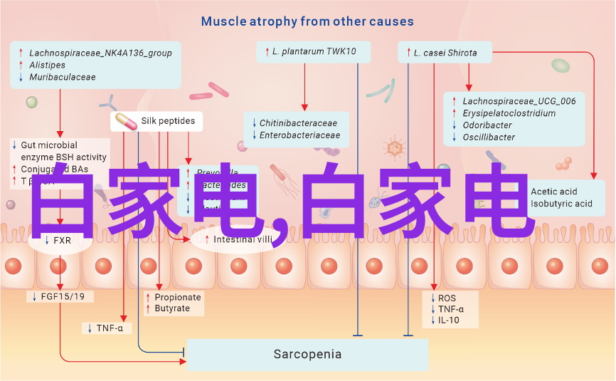 家庭智造新潮流智能冰箱预约冷藏功能引领未来厨房生活